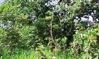 Imagem 3: Oportunidade-LOTE em Alexânia GO