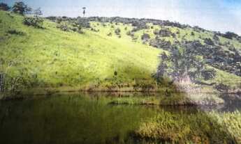 Imagem 3: /Tereno com 27 hectares na BR 171