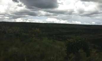 Imagem 5: A&M Imoveis vende exelente Fazenda em Minas Gerais com 525Hectares