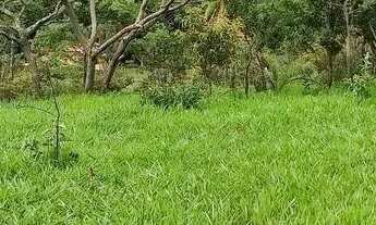 Imagem: CHÁCARAS planas, registradas com 1000Mts