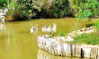 Imagem 2: CHACARA PORTEIRA FECHADA!! Doce Grande Quitandinha!!