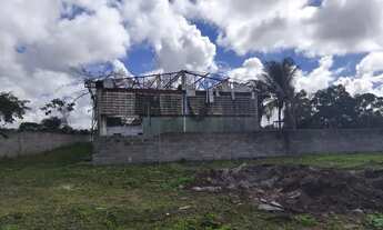 Imagem 6: Terreno na estrada da Terra dura Limoeiro 71.000m2