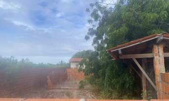 Imagem 6: Terreno Sítio Santo Antônio Sucatinga