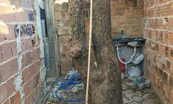 Imagem 3: Casa em jardim Brasil