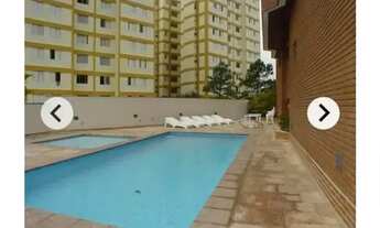 Imagem 6: TEMPORADA 4 a 8 MESES/ AMPLO