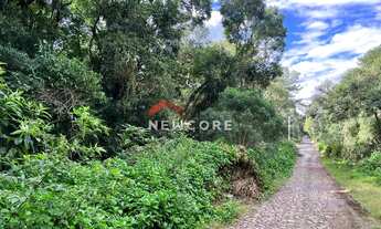 Imagem 3: Lote em Rua 3 do Alpes - Alpes - São Francisco de Paula/RS