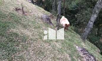 Imagem 5: Sítio com 9 dormitórios à venda, 20000 m² por R$ 1.100.000,00 - Zona Rural - Alfredo Chave