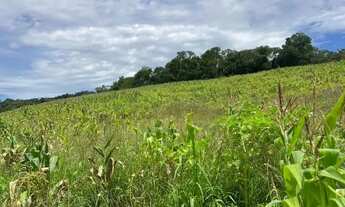 Imagem 7: Terrenos para venda com 500 metros quadrados em Colégio - Ibiúna - SP