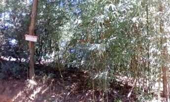 Imagem 6: Terreno BARATO !!! 720M² Por apenas 70mil