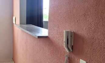 Imagem 5: Apartamento Padrão em São José do Rio Preto