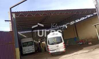 Imagem 4: OPORUNIDADE DE LUCRATIVIDADE