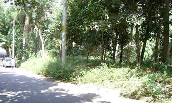 Imagem 4: Lote em Rua Roma - Granja Viana - Cotia/SP