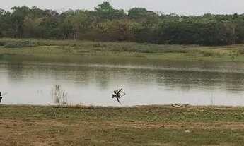 Imagem: Vendo lote no rio paranã