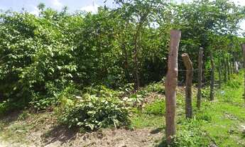 Imagem: Lote 6400 m2 no balneário Roncador em Timon