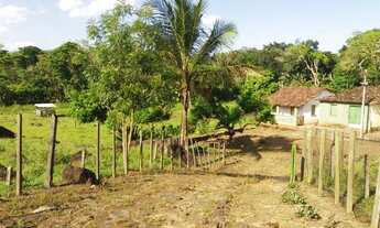 Imagem 5: Fazenda Fazenda / sítio com venda por R$300.000