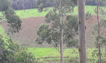 Imagem: Vendo sítio