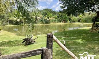 Imagem 2: Fazenda 76 alqueires (367 hectares) Morrinhos - GO