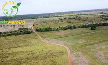 Imagem: FAZENDA À VENDA EM VALE DO ARAGUAIA - T0