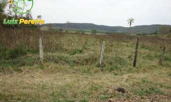 Imagem 5: FAZENDA Á VENDA EM BANDEIRANTES - MS - 1.020 HECTARES (DUPLA APTIDÃO