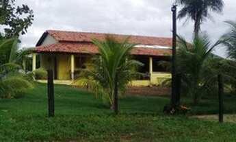 Imagem: FAZENDA À VENDA EM RECURSOLÂNDIA - TO