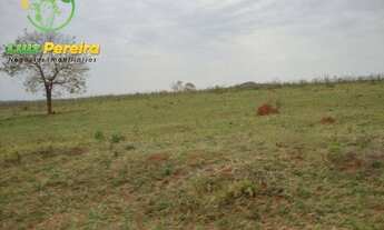 Imagem: FAZENDA Á VENDA EM BANDEIRANTES - MS