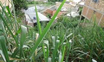 Imagem 5: Lote Troco ou vendo ou financio de 440 ms murado no tropical por Apartamento