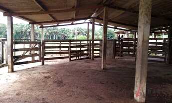 Imagem 3: Fazenda com 4 dormitórios à venda, 726000 m² por R$ 4.500.000,00 - Buriti Grande - Luziâni