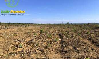 Imagem 5: FAZENDA À VENDA EM DOIS IRMÃOS - TO - 590.48 HECTARES (DUPLA APTIDÃO