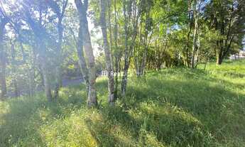 Imagem 7: VALE DOS VINHEDOS (BENTO GONçA - Terreno Padrão - Vale Dos Vinhedos