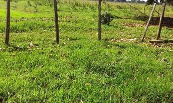 Imagem 2: FAZENDA À VENDA EM BANDEIRANTES - MS - 609 HECTARES (DUPLA APTIDÃO