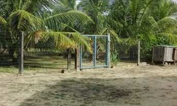 Imagem 4: FAZENDA À VENDA EM RECURSOLÂNDIA - TO - DE 700 ALQUEIRÕES (DUPLA APTIDÃO