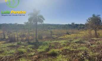 Imagem: FAZENDA À VENDA NO VALE DO ARAGUAIA - TO
