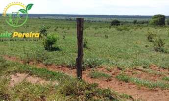 Imagem 5: FAZENDA À VENDA EM SANTA RITA DO PARDO-MS- 1.977 HEC (DUPLA APTIDÃO
