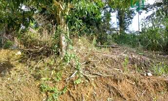 Imagem 3: Terreno à venda, 594 m² por R$ 460.000,00 - Escola Agrícola - Blumenau/SC