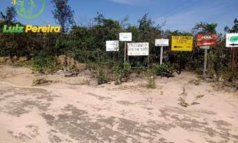 Imagem 5: FAZENDA Á VENDA EM SÃO DESIDÉRIO - BA - DE 10.204 HECTARES (Lavoura