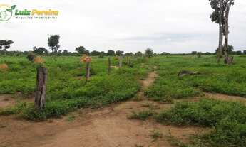 Imagem 5: FAZENDA À VENDA EM PEIXE - TO - 5.200 HECTARES (DUPLA APTIDÃO
