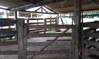 Imagem 7: Fazenda com 4 dormitórios à venda, 726000 m² por R$ 4.500.000,00 - Buriti Grande - Luziâni