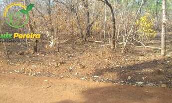 Imagem 7: FAZENDA À VENDA EM SÃO VALÉRIO -TO - 1.026 HEC (EXCELENTE PARA AGRICULTURA