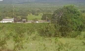Imagem: FAZENDA À VENDA EM PEIXE - TO - 5.200 HECTARES