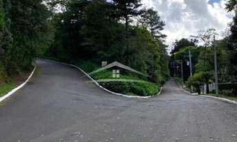 Imagem 6: GRAMADO - Apartamento Padrão - Jardim Bela Vista