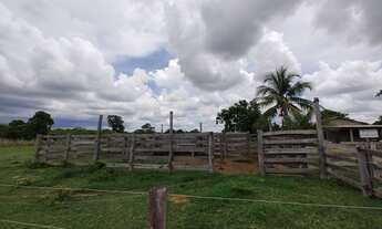 Imagem 3: Sítio Formado para Pecuária, Santo Onofre, 72km do Trevo do Lagarto (Várzea Grande/MT