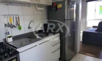 Imagem 7: CANOAS - Padrão - Mato Grande