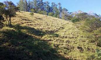 Imagem 4: CHÁCARA RURAL em MONTEIRO LOBATO - SP, SOUZA