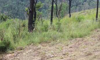 Imagem 1: Não perca essa oportunidade !