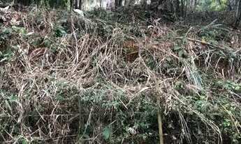 Imagem 3: Chácara Chácara com venda por R$55.000