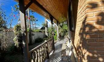 Imagem 6: Vendo casa em meio às araucarias