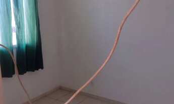 Imagem 4: Vendo ou troco ou alugo