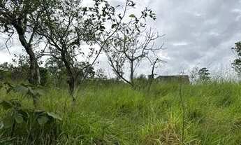 Imagem 4: Vendo lote em igarapé