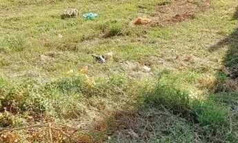 Imagem 2: Terreno 412m² - Belo Horizonte do Tambury