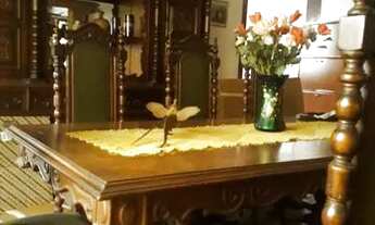 Imagem 3: CASA TÉRREA - BOM RETIRO - SP